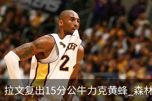 拉文复出15分公牛力克黄蜂 森林狼大胜火箭